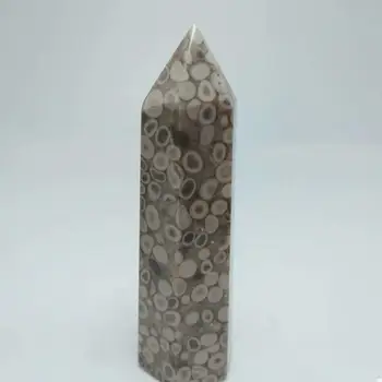 1 buc 60-65mm cristal Natural de insecte fosile reiki de vindecare punct!