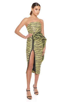 Ailigou 2021 Vara Noi Femei Model Zebra Verde Doamnelor Ciufulit Strapless fara Spate caroserie Față Cu Fermoar Sexy Rochie de Petrecere