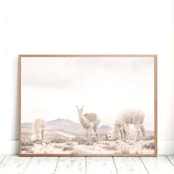 Arta De Perete Panza Pictura De Grâu De Plante Nordice Highland Vaca Alpaca Postere Si Printuri Peisaj Imagini De Perete Pentru Living Decorul Camerei
