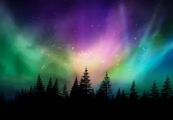Aurora Multicolore Lumini de Nord Boreală Canadiană Pădure fundaluri Calculator de imprimare fundal pitoresc
