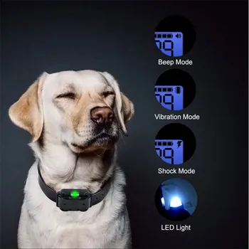 Electric de Formare de Câine Guler Cu Telecomanda Waterproof Reîncărcabilă Guler pentru animale de Companie Cu Display LCD pentru Câini de talie 40%off