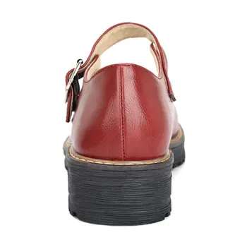 Fanyuan Toc Gros Femei Pompe Mary Jane 3 Culori De Muncă Pantofi Primavara Toamna Catarama Curea Pantofi De Damă Mărimea Femei