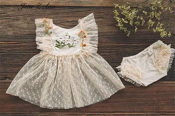 Jane Z Ann Dantela Brodate rochie de Printesa 100 de zile 1-2 ani Fetita Foto Îmbrăcăminte Nou-născut Fotografie Prop 4 dimensiuni