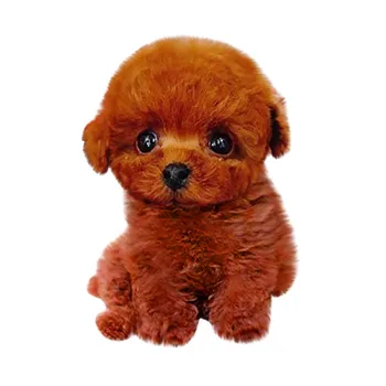 Jucării de pluș Realist Teddy Câine Norocos Simulare Câine lucrate Manual, Realist Figura Jucărie de Câine de Pluș Umplute Anim Jucarii Pentru copii