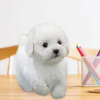 Jucării de pluș Realist Teddy Câine Norocos Simulare Câine lucrate Manual, Realist Figura Jucărie de Câine de Pluș Umplute Anim Jucarii Pentru copii
