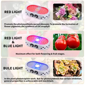 LED-uri Cresc de Lumină Ovală Reglabil Spectru Complet 150W Fito Lampa 110V 220V pentru Plante, Răsaduri de Flori Cresc Cort Interior Fitolamp