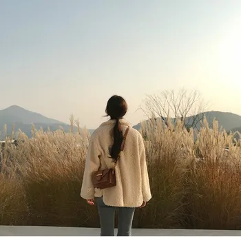 Miel Blana Femei Toamna Iarna Îngroșat 2020 Coreea Style Temperament Singur Pieptul Moda Vrac Dulce Cu Blană Haină Scurtă