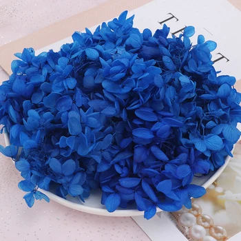 Nemuritoare Flori Copaci Hortensie Manual DIY Capac de Sticlă Materiale pentru a Face Nunta, Aranjament Frunze Mici Petale de Flori Uscate