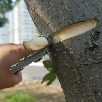 Noul Inel De Separare Clește De Fructe Copac Inel De Forfecare Jujube Dezizolat Peeling Cuțit Armura De Tăiere Scoarta De Copac De Fructe Inel De Tăiere