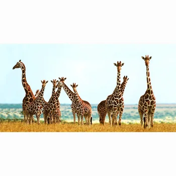Prosop de plajă 70*140cm Vara girafa Fibre de Bambus Personalizate de Imprimare Prosoape de Baie în aer Liber, Yoga Mat Pătură de Călătorie