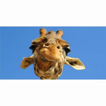 Prosop de plajă 70*140cm Vara girafa Fibre de Bambus Personalizate de Imprimare Prosoape de Baie în aer Liber, Yoga Mat Pătură de Călătorie