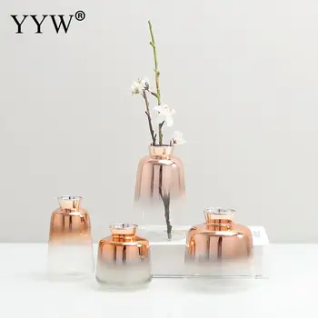 Stil Nordic Vaza De Sticla Decor Plante Cu Flori Vaze Jumătate Vaza Transparenta Masă Plante Oală Acasă Vaze Decor Pentru Casa