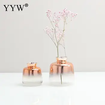 Stil Nordic Vaza De Sticla Decor Plante Cu Flori Vaze Jumătate Vaza Transparenta Masă Plante Oală Acasă Vaze Decor Pentru Casa