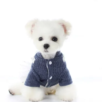 Toamnă caldă Câine Rochie Strat de Tul de Jos Câine de Companie Haine Bowknot Moale Ursuleț de Pudel Îmbrăcăminte XS S M L XL