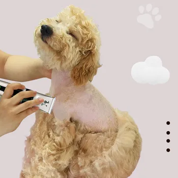 Zgomot Redus Câine Tuns Profesionale Metal Electric Liniștit Acasă Tunsoare Instrument Reîncărcabilă Câine De Tuns Animale Intretinere Clipper